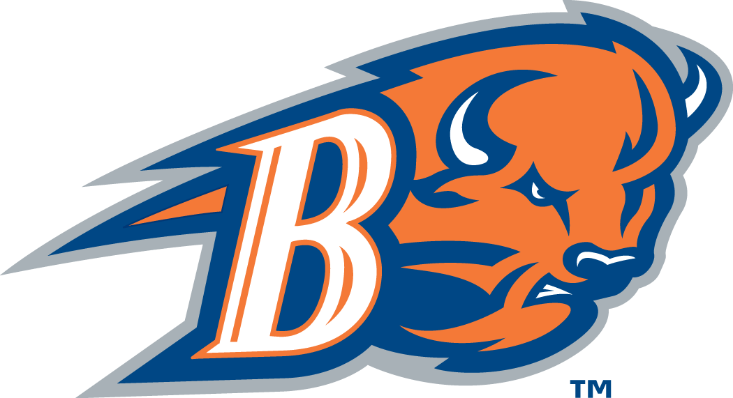 Bucknell Bison 2002-Pres Alternate Logo v2 diy fabric transfer